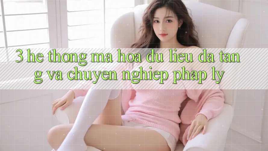 3. Hệ Thống Mã hóa dữ liệu Đa Tầng Và Chuyên nghiệp Pháp Lý