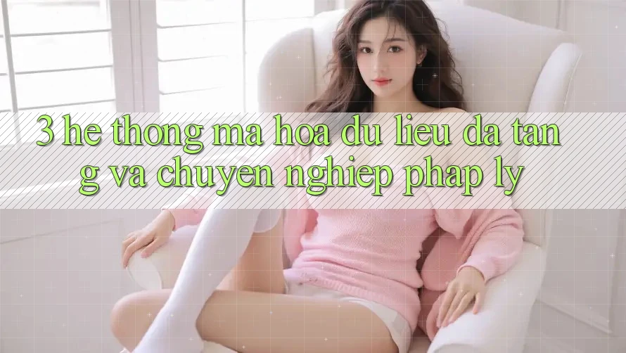 3. Hệ Thống Mã hóa dữ liệu Đa Tầng Và Chuyên nghiệp Pháp Lý