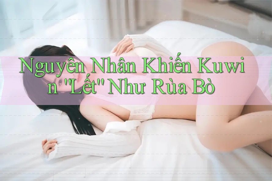 Nguyên Nhân Khiến Kuwin “Lết” Như Rùa Bò Nguyên Nhân Khiến Kuwin “Lết” Như Rùa Bò