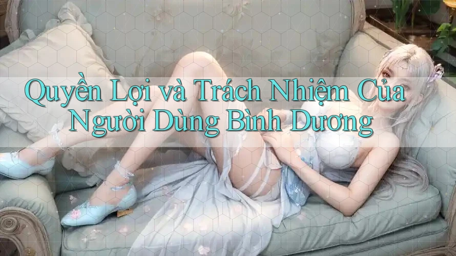 Quyền Lợi và Trách Nhiệm Của Người Dùng Bình Dương Quyền Lợi và Trách Nhiệm Của Người Dùng Bình Dương